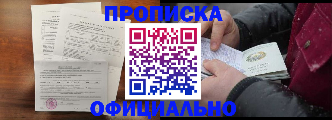 временная регистрация для школы в Старой Купавне